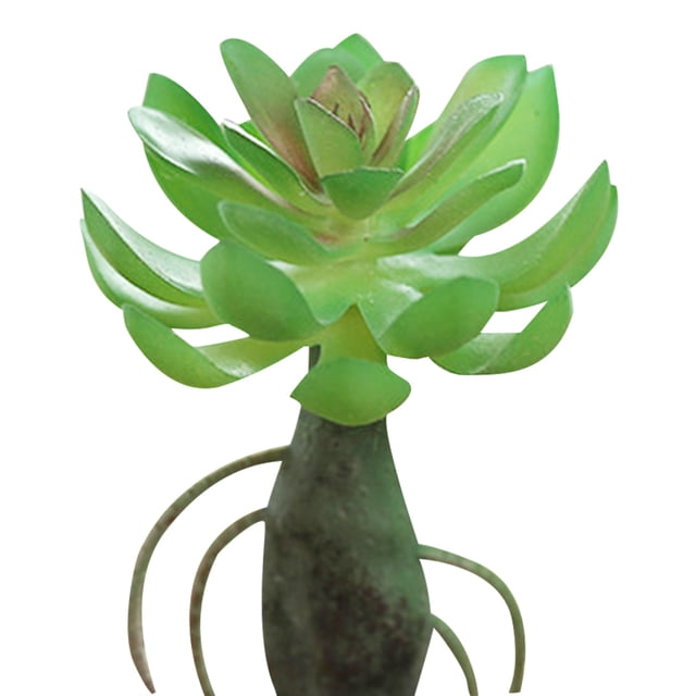 Coofit Mini Artificial Succulent DIY - Faux Succulent Plant Plastic Greenery Decoration