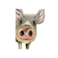 thumbnail image 1 of Kevin Milner Countryside Inquisitive Pig Greetings Card, 1 of 1