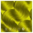 thumbnail image 2 of Local Lime, 2 of 7