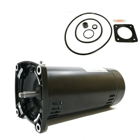 Puri Tech Replacement Motor Kit for Sta-Rite Max-E-Glas 1.5HP PEA5F-182L, AO Smith USQ1152 w/ GO-KIT-54
