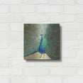 thumbnail image 3 of Luxe Metal Art 'Blue Peacock' by Danhui Nai, Metal Wall Art, 12"x12", 3 of 7