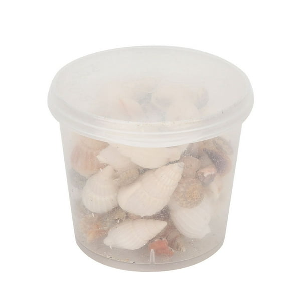 Manualidades para hacer conchas marinas, mini conchas marinas lindas, estrellas de mar, colgantes del océano, joyería DIY, conchas marinas impulsadas por el rendimiento Jadeshay A