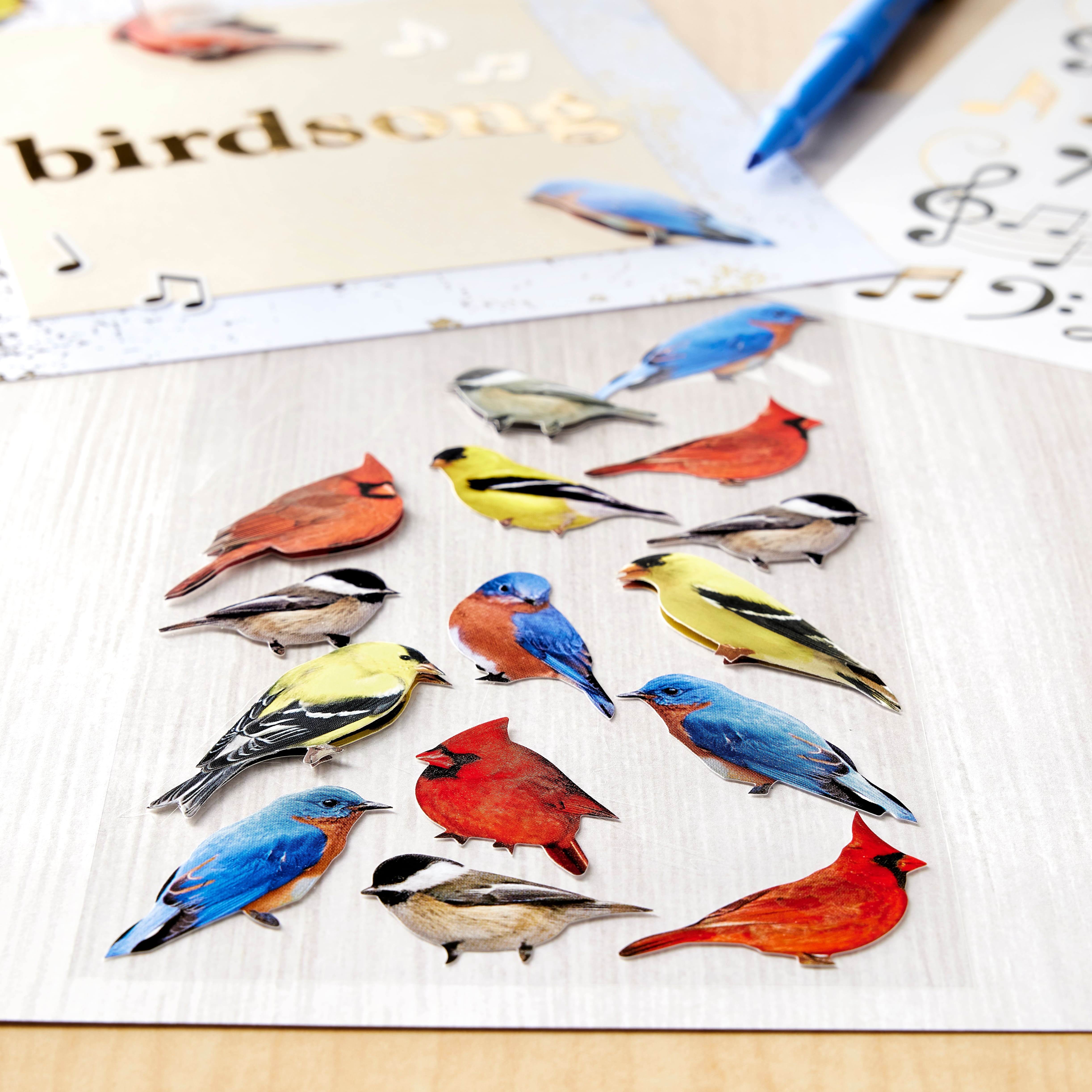Recollections Bird Stickers, 12 Packs: 18 ct. (216 total)