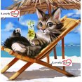 thumbnail image 1 of Cat on Beach Diamond Painting, 1 of 2