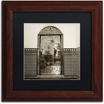 Trademark Fine Art "Cordoba I" Canvas Art by Alan Blaustein, Black Matte, Wood Frame