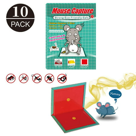 Mouse Glue Traps 10 Pack | Captures Mice & Other Household Pests | Professional Strength, Pesticide-Free,