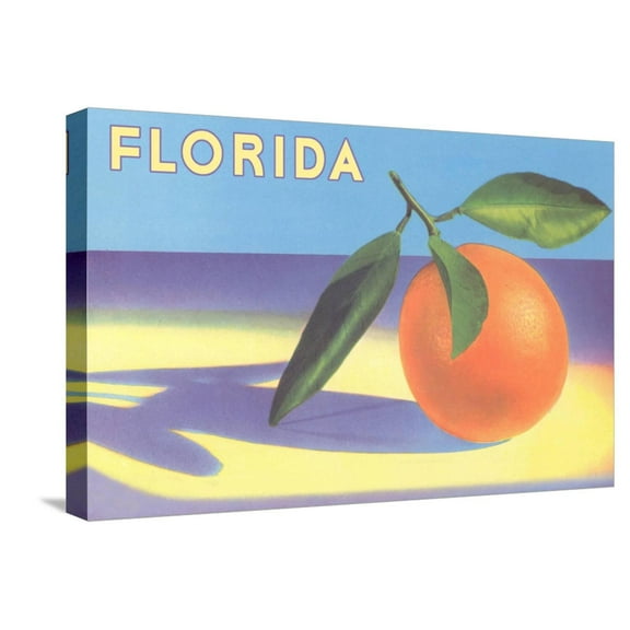 Art.com Florida Orange Stretched Canvas Print Wall Art, 24" x 16"