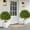 Green, variant on Gaderth 2-Pack 24-Inch Artificial Eucalyptus Shrubs with Ground Stakes, Realistic UV-Resistant PE Greenery, Maintenance-Free, Decorative Faux Plants