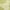 Green/Cream, variant on JONATHAN Y SMB110H-8 Zinnia Modern Floral Textured Weave Green/Cream 8 ft. x 10 ft. Indoor/Outdoor Area Rug, Pet Friendly, Stain Resistant, Easy to Clean, for Patio, Living Room; Kitchen, Bedroom
