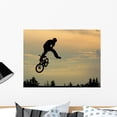 thumbnail image 1 of Bmx 6 Wall Mural Decal Sticker, Wallmonkeys Peel & Stick Vinyl Graphic (24 in W x 18 in H), 1 of 4