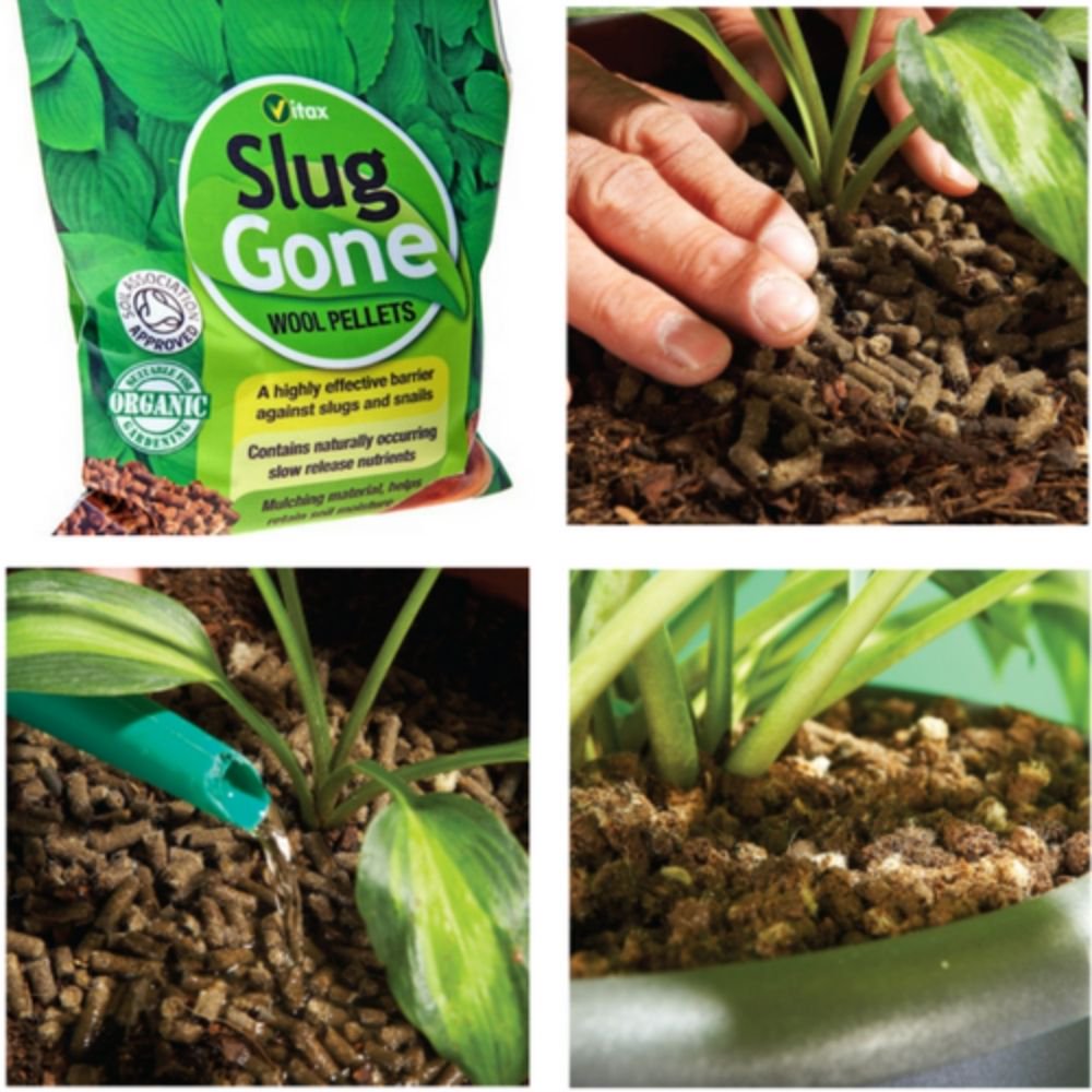 Slug Gone All Natural Slug and Snail Repellent Organic, Long Lasting