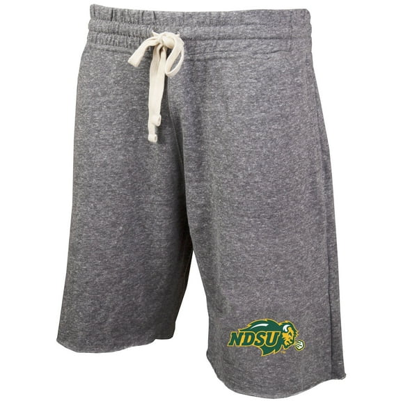 Men's Concepts Sport Gray NDSU Bison Mainstream Terry Shorts