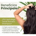 thumbnail image 4 of Verde Romero Shampoo 490ml. | Activador Capilar con Romero y Capsaicina Limpieza Profunda y Fortalecimiento Uso Diario, 4 of 10