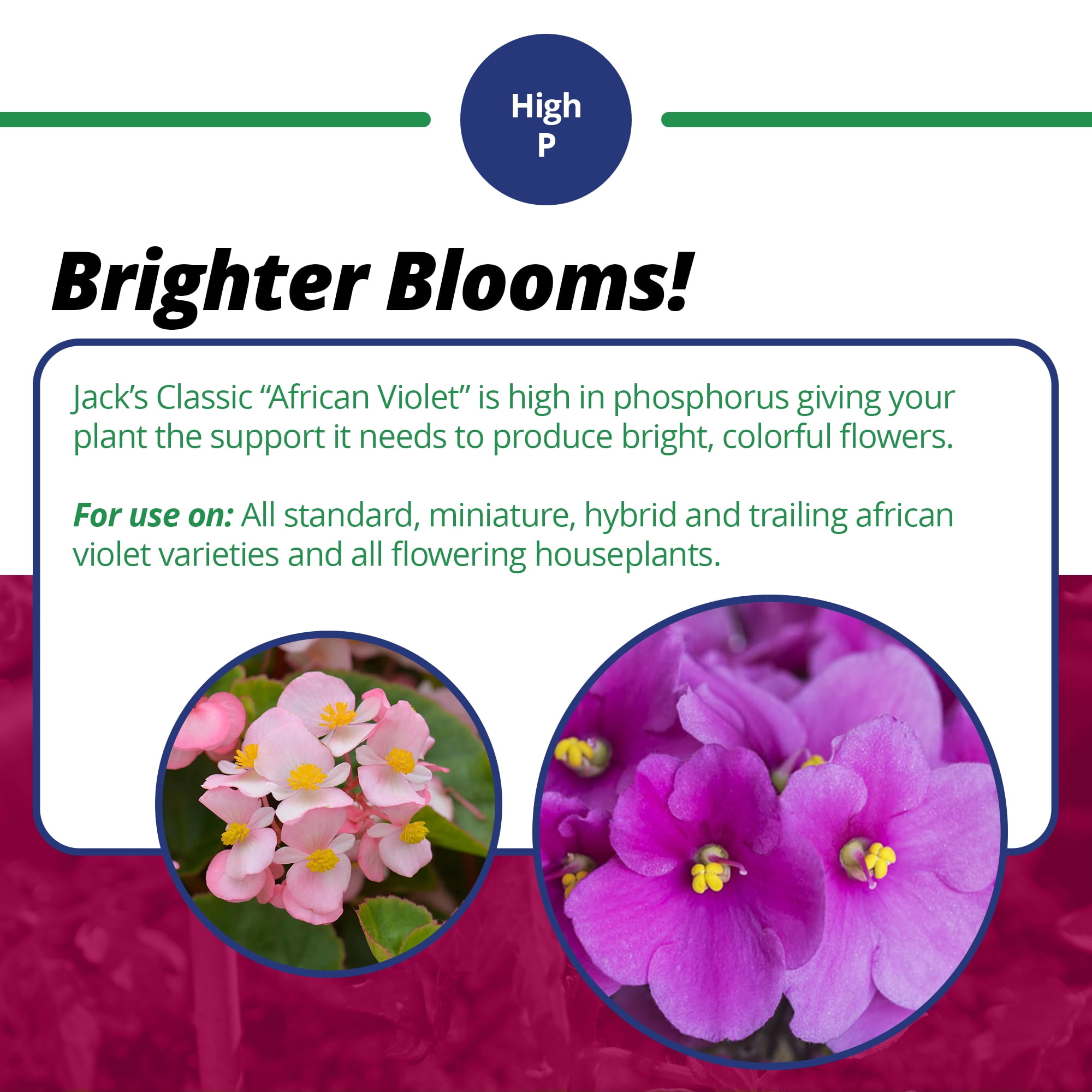 Jack's Classic African Violet 12-36-14 - 8oz Tub