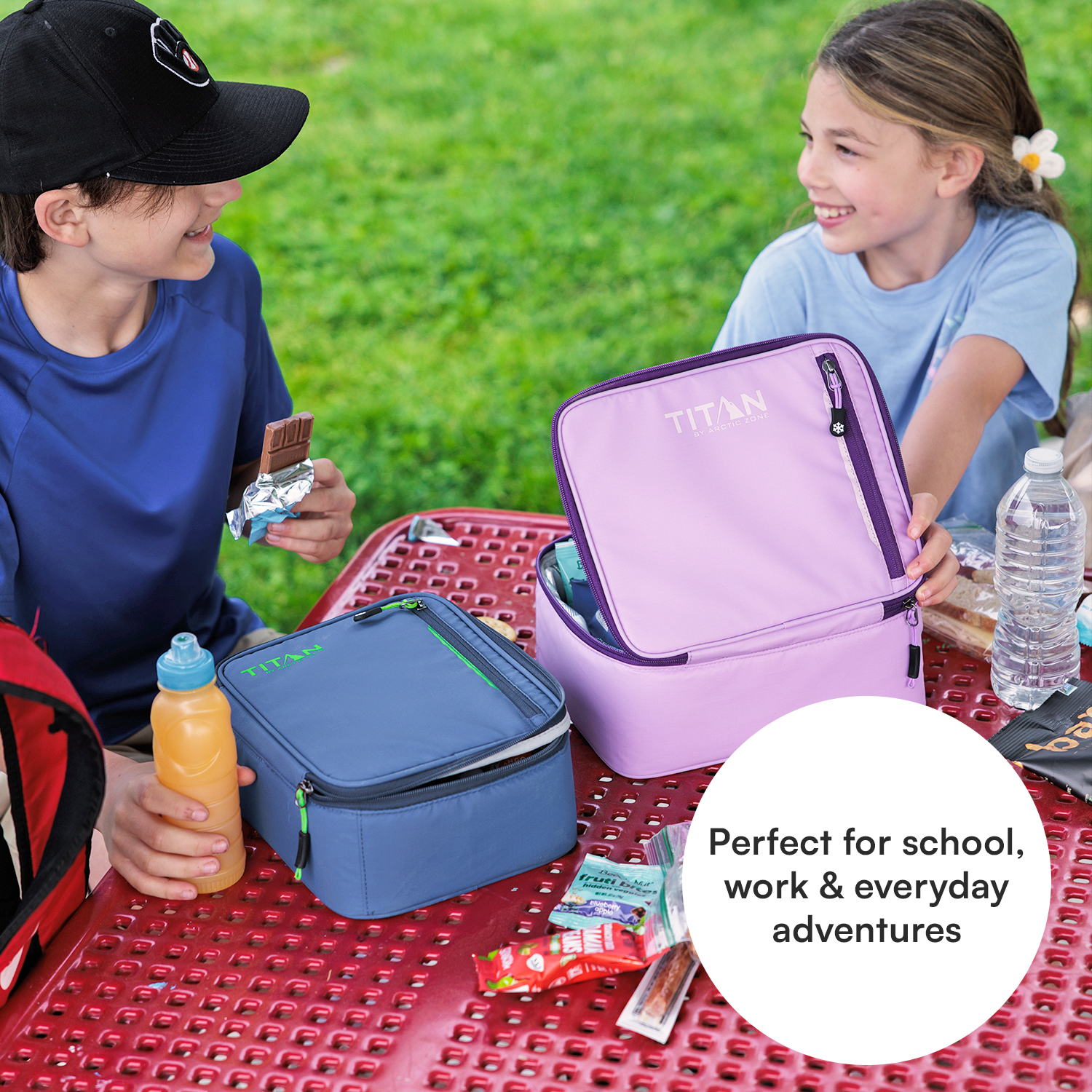 Titan by Arctic Zone Fridge Cold Horizontal Insulated Lunch Box with Reusable Ice Walls - Lavender