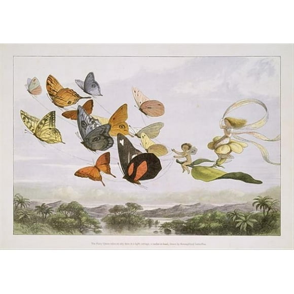 The Fairy Queen Takes An Airy Drive in A Light Carriage A Twelve-In-Hand Drawn by Thoroughbred Butterflies Poster Print by Richard Doyle, British London 1824 1883 London, 18 x 24