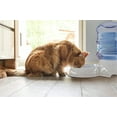 thumbnail image 3 of Automatic Cat Feeder and Water Dispenser in Set for Small Medium Dog Pets Puppy Kitten Big Capacity 1 Gallon, 3 of 6