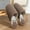 Coffee, variant on Women's Furry Slippers Premium Comfort Linen Bear Pattern Cushion Sole House Slippers Indoor Soft Household Slip On All Seasons Shoes