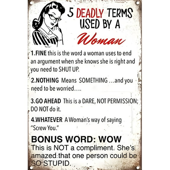 5 Deadly Terms Used By A Woman Funny Sign 8" x 12" Aluminum Metal Sign
