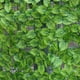 thumbnail image 2 of Valla de pared de plástico con plantas de simulación, pared exterior, decoración de hojas verdes, barandilla para balcón, refugio y embellecimiento de pared de plantas, 2 of 5