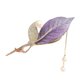 thumbnail image 1 of Minnieouse Accesorios para el cabello con pinza para el pelo de perlas para mujeres y niñas, pinzas para el pelo con garra para mujer, diadema Accesorio para el cabello B, 1 of 6