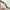 Khaki-A, variant on 2024 Christmas Gift Box Bow Pendant With Bell Christmas Tree Gift Box Set Decoration Linen Printed Letter Bow Christmas Decoration Clearance Under 5$!
