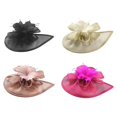 thumbnail image 1 of Sombrero fascinador de malla 4x para mujer, ideal para cócteles, fiestas de té, bodas y el Derby de Kentucky. Incluye flores. Negro Beige Rosa Rosa Rojo, 1 of 9