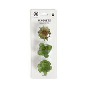 U Brands Hexagonal Succulent Magnets, Strong-Hold, Assorted Designs, 3 Count, 0.02 lb