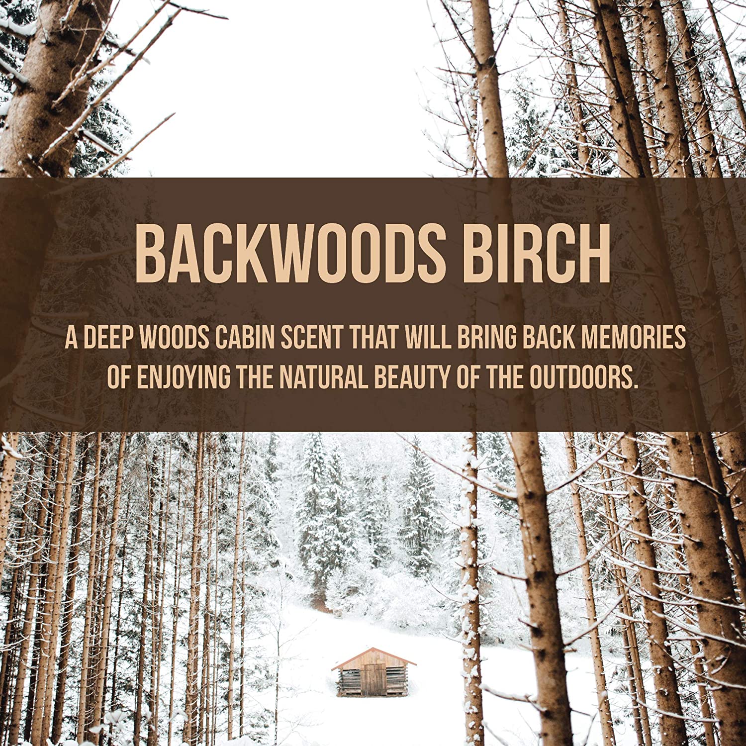 Arotags Backwoods Birch Wooden Car Air Freshener - 100% Made in USA