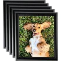 ArtToFrames 8" x 11" Satin Black Bull Nose Picture Frame, 8.5x11 inch Black Wood Poster Frame (WOM-1417), 5 Pack