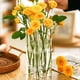 thumbnail image 4 of 8 Floreros con Bisagras, Tubo de Ensayo de Vidrio Transparente, Soporte Colgante para Flores para DecoracióN del Hogar, S, 4 of 5