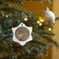 thumbnail image 7 of 3drose, Long Billed Thrasher, Toxostoma Longirostris, Calling from Perch, 3 inch Snowflake Porcelain Ornament, 7 of 7
