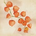 thumbnail image 2 of Marrott, Stephanie 20x20 White Modern Wood Framed Museum Art Print Titled - Lanterns In Fall, 2 of 4