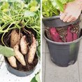 thumbnail image 2 of RUNROTOO Potato Planting Pot Plastic Plants Nursery Pot Black 1Set, 2 of 6