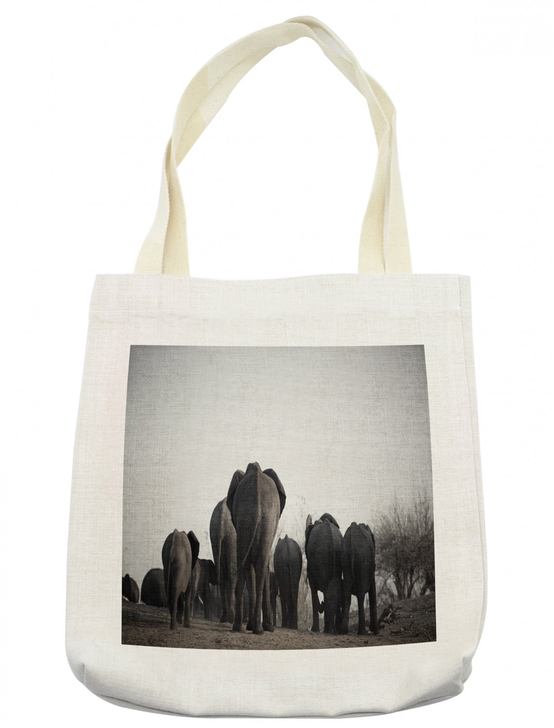 elephant school bolsa