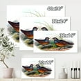 thumbnail image 4 of Ancient Birds In The Wild VII 32 in x 16 in Painting Canvas Art Print, by Designart, 4 of 4