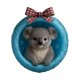 thumbnail image 2 of Llavero acrílico 2D para mochila | Adorno colgante para coche | Colgante de la serie Animales Lindos para decorar mochilas y accesorios para el interior del coche, 2 of 7