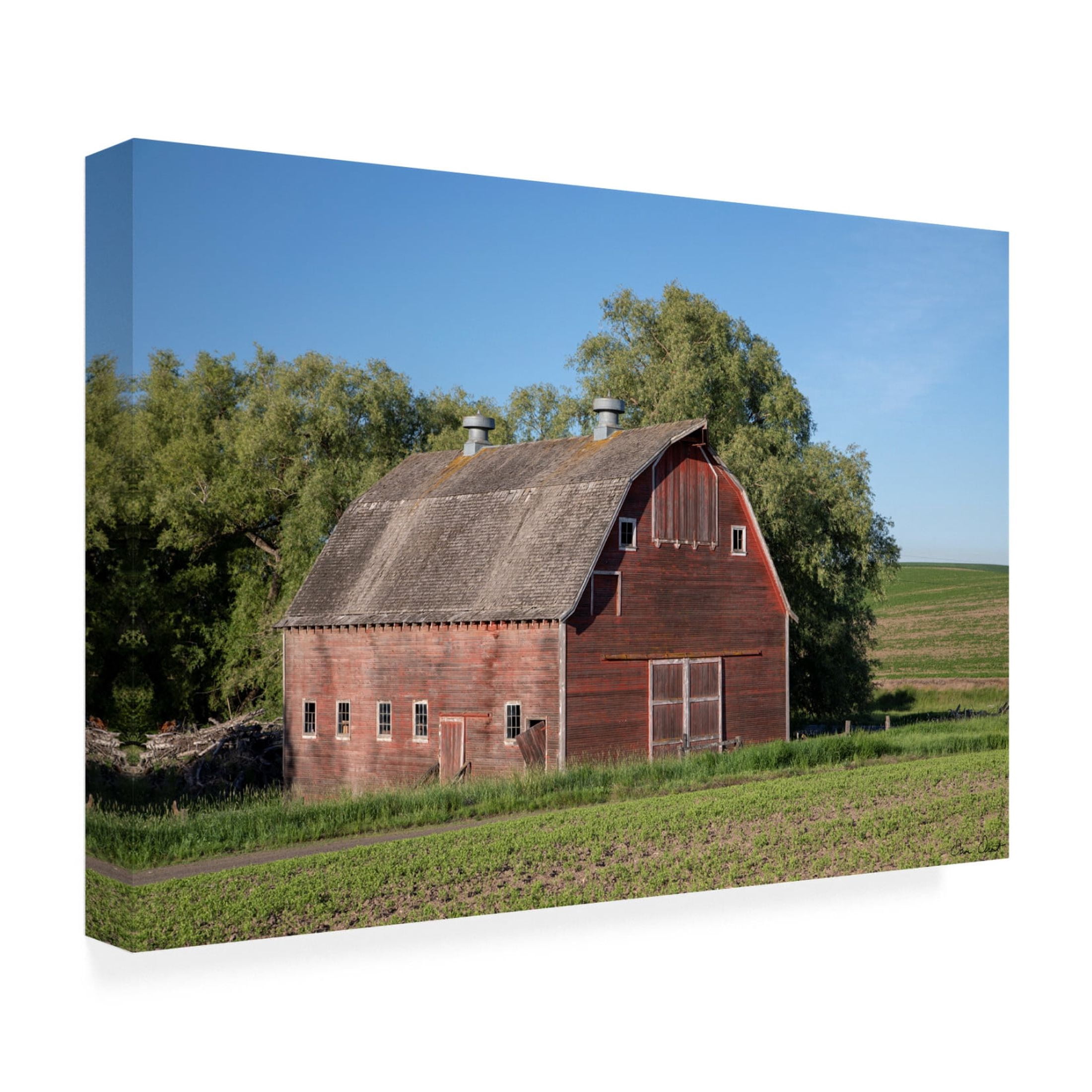Trademark Fine Art David Drost Rustic Palouse Barn I Canvas Wall Art