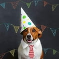 thumbnail image 4 of 1 x Correa negra talla S, ajustable para perros y gatos, perros pequeños, 4 of 5