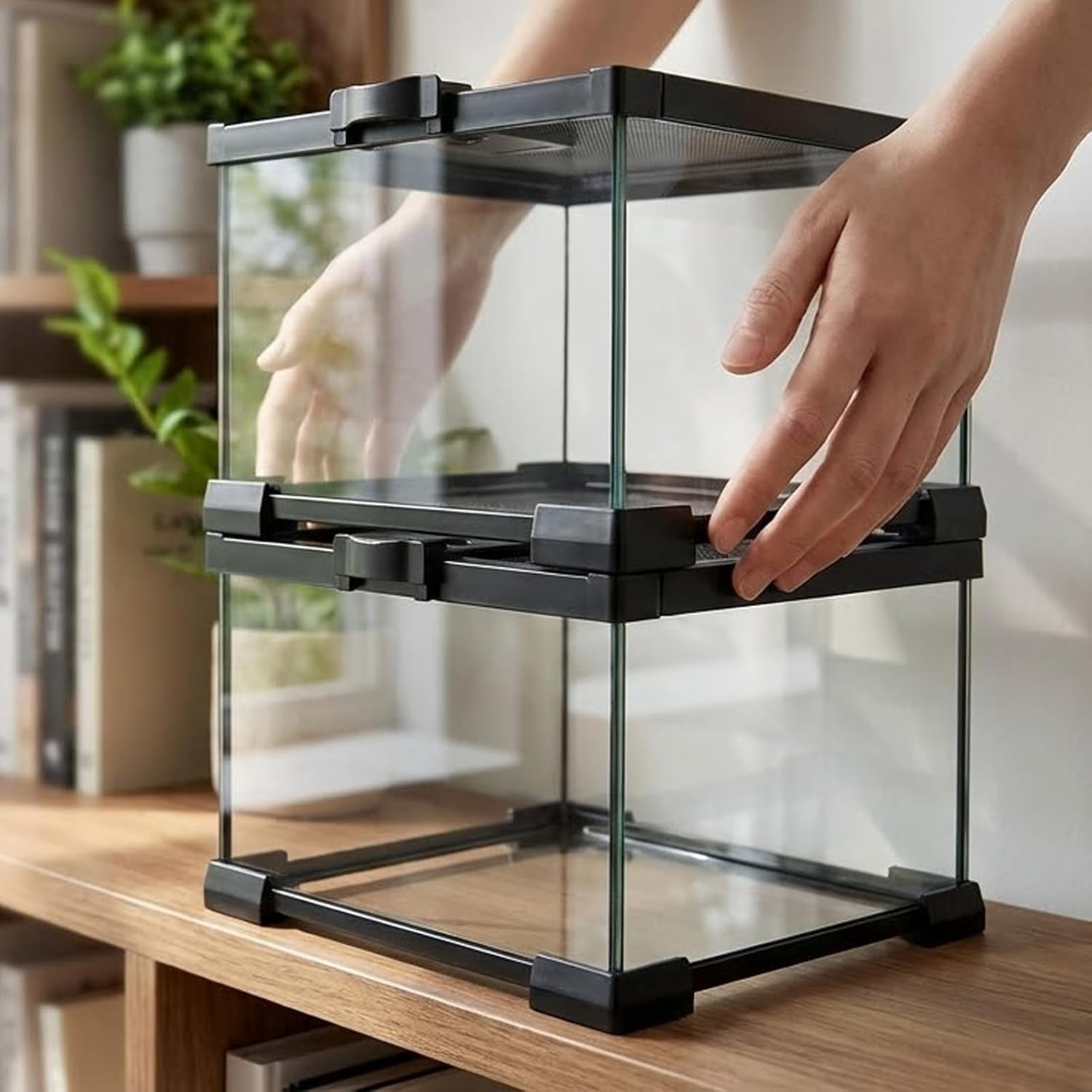 VNEKVA Small Glass Terrarium with Lockable Top, Reptile Tank for Geckos, Lizards, Snakes, Turtles & Amphibians