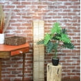 thumbnail image 4 of The Mod Greenhouse 32" Artificial Green Silk Happy Philo Tabletop Plant in Black Matte Pot, 4 of 5