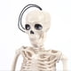 thumbnail image 4 of Esqueleto De Juguete De Halloween De 40 Cm, Esqueleto Articulado De Cuerpo Completo, Esqueleto De Halloween Con Articulaciones Móviles Sweethay HA029421-00, 4 of 6
