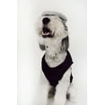 thumbnail image 6 of Midlee Salt & Pepper Dog Costume (Pepper, XX-Large), 6 of 7