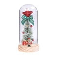 thumbnail image 2 of Navidad Cubierta De Vidrio Adornos Decoraciones Navideñas Regalo De Navidad Para Novia Y Amante Advancent HA043607-01, 2 of 6