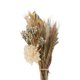 thumbnail image 4 of Hierba seca grande, hojas de palma, arreglos florales, adornos para tartas, flores, decoración de bodas, hogar Marrón, 4 of 7