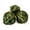 Green, variant on Pet Enjoy 3Pcs Small Animals Play Balls Rolling Chew Toys,Timothy Grass Grinding Treats Small Animal Activity Play Chew Toys for Bunny Rabbits Hamster Guinea Pigs,Pet Cage Entertainment Accessories