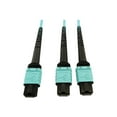 thumbnail image 2 of Eaton Tripp Lite Series 400G Multimode 50/125 OM4 Plenum Fiber Optic Cable, 24F MTP/MPO-PC to (x2) 12F MTP/MPO-PC (F/F), Aqua, 5 m - Network cable - MTP/MPO/PC multi-mode (F) to MTP/MPO/PC multi-mode (F) - 5 m - fiber optic - 50 / 125 micron - OM4 - plenum - black, aqua, 2 of 5