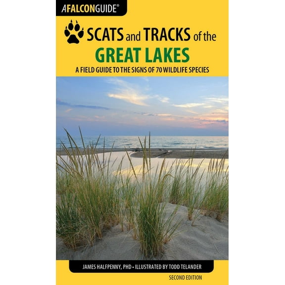 Scats and Tracks Scats and Tracks of the Great Lakes, (Paperback)
