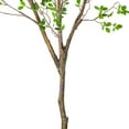 thumbnail image 4 of Vickerman 72" Artificial Milan Leaf Tree in Black Planters Pot., 4 of 6