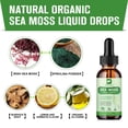thumbnail image 2 of (2 Bottle) Irish Sea Moss Liquid Drops 10000mg,for Immunity Booster,Thyroid Support,4 fl oz, 2 of 6